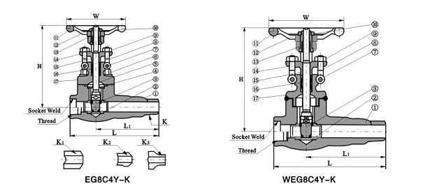 鍛鋼延長閥體閘閥EG8C4Y-K